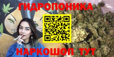 эйфоретик Будённовск