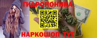 эйфоретик Будённовск