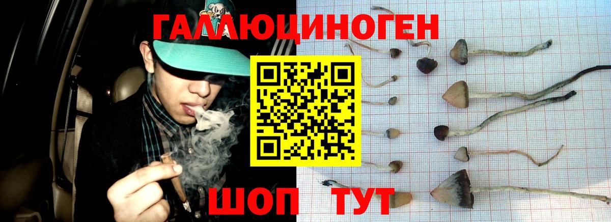 Галлюциногенные грибы Psilocybine cubensis  Вход с VPN  Курганинск 