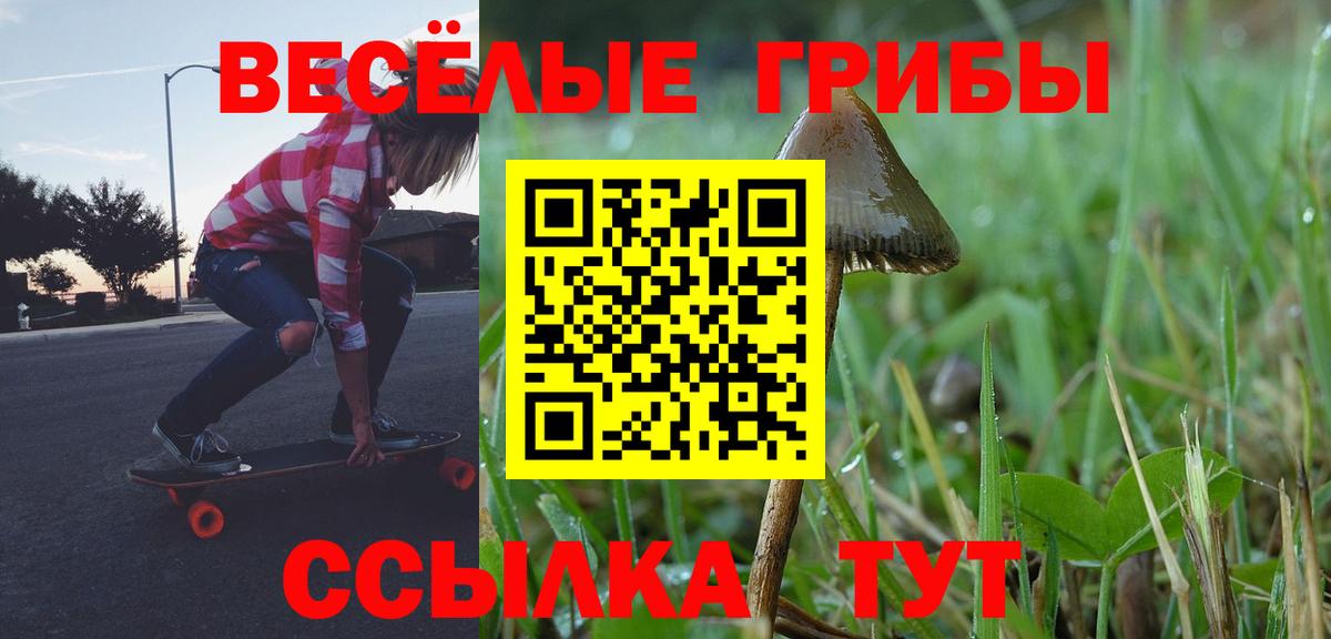 Псилоцибиновые грибы мицелий Курганинск